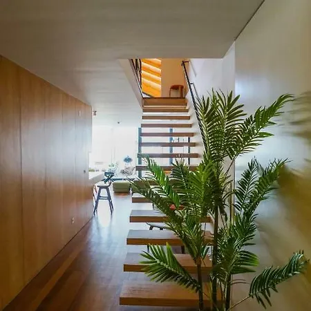Douro Views Duplex By Sabrab Apartment *